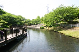 岸根公園